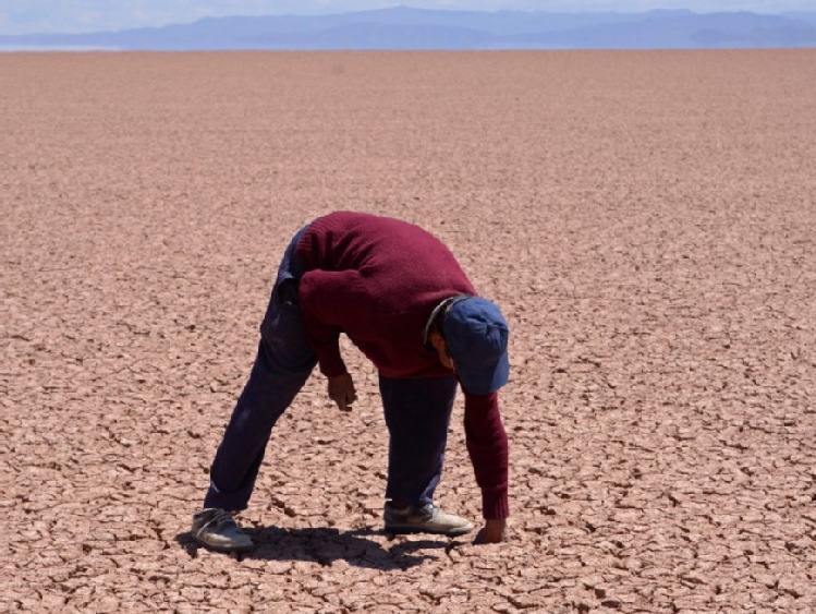 Mongolia/ Susza i najwyższe temperatury od ponad pół wieku